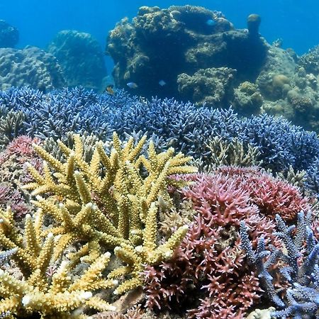 Готель Alam Karang Gili Gede Екстер'єр фото