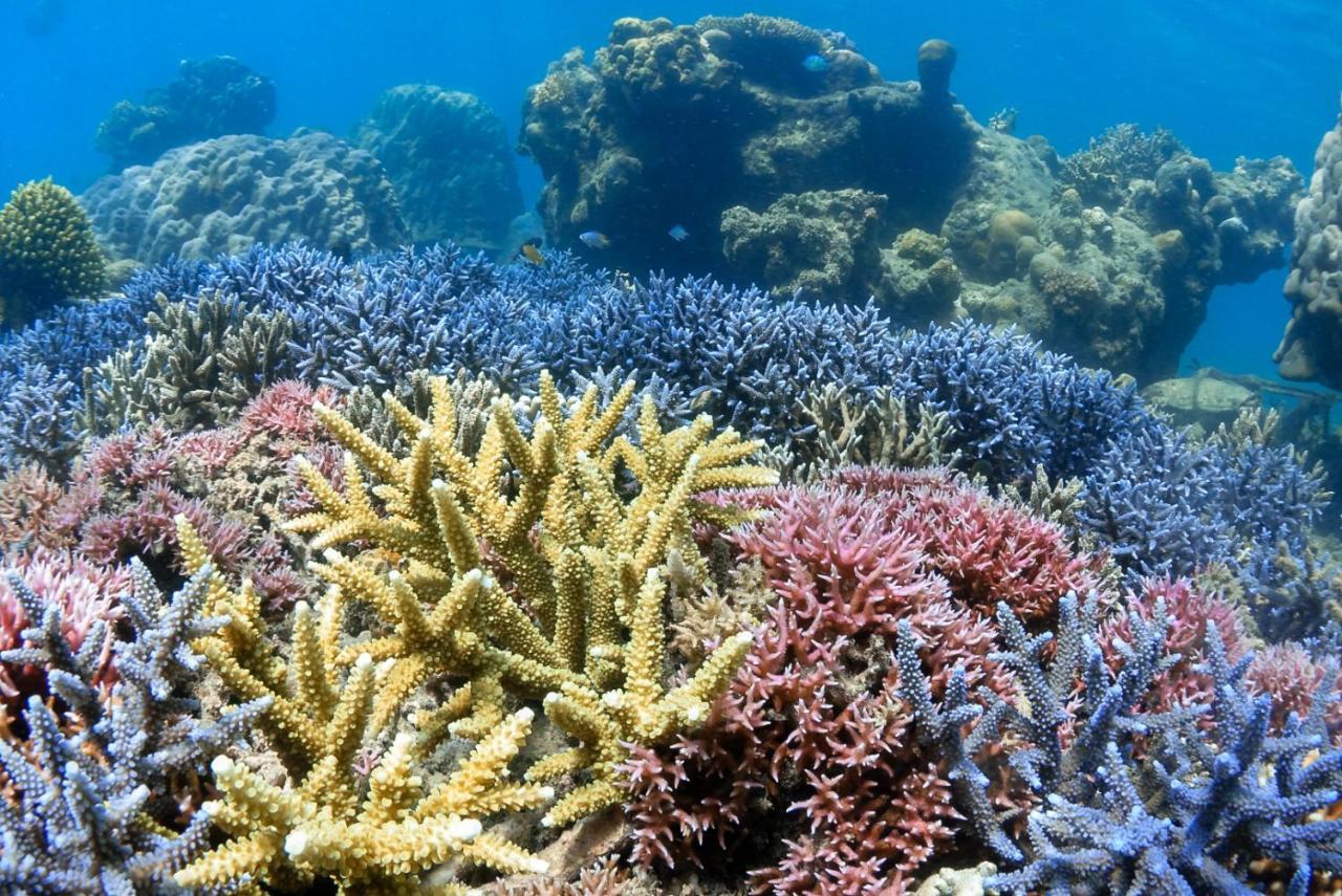 Готель Alam Karang Gili Gede Екстер'єр фото